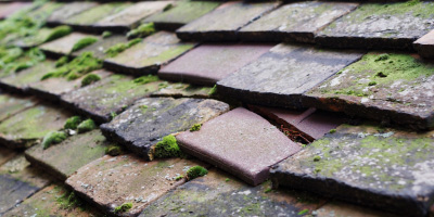Itton roof repair costs